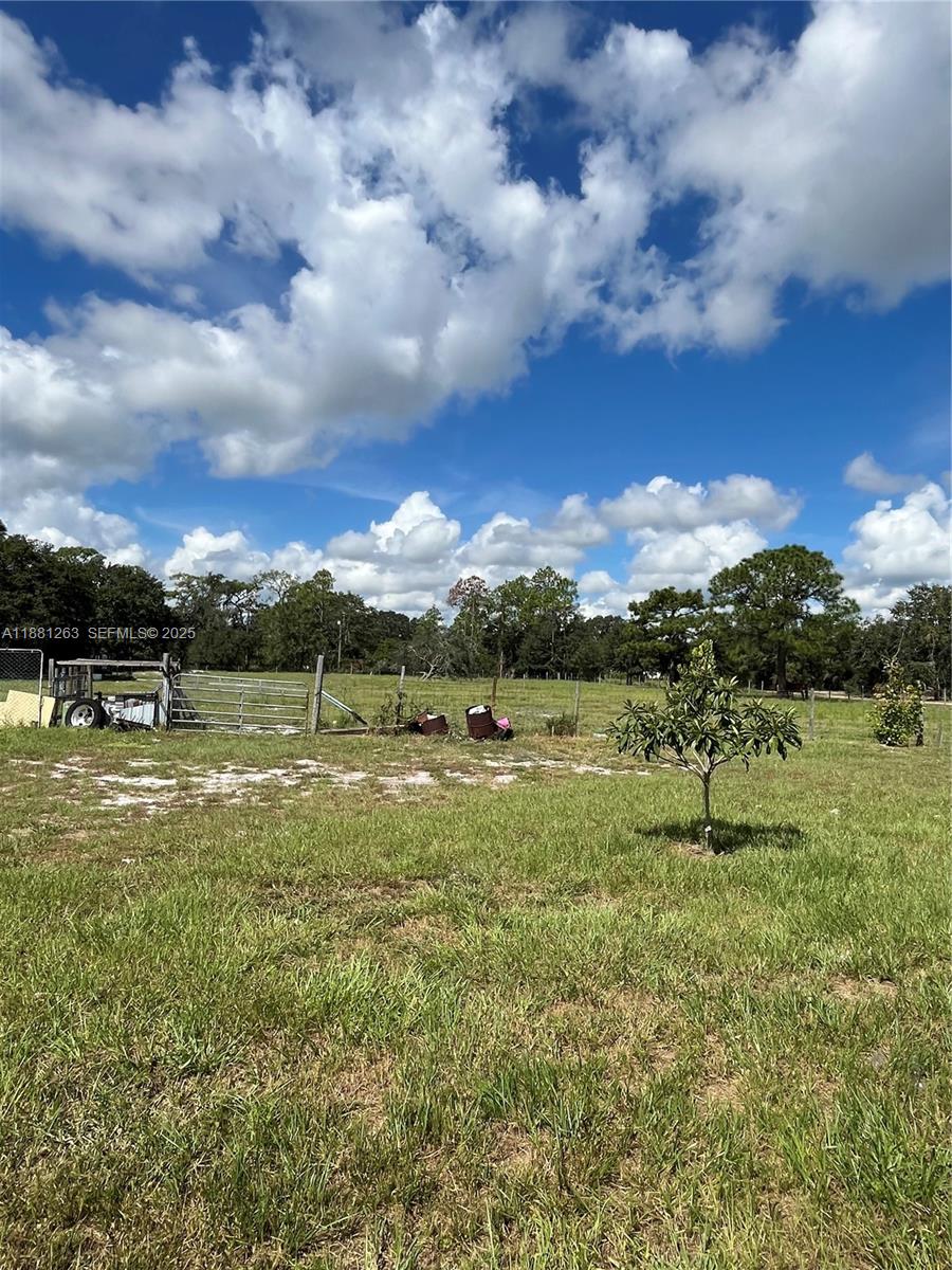 105 Farrer Road Property Photo 31
