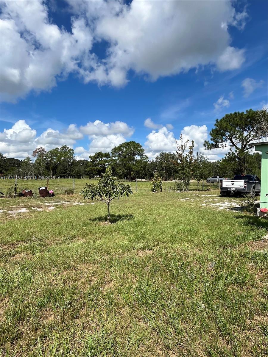 105 Farrer Road Property Photo 32