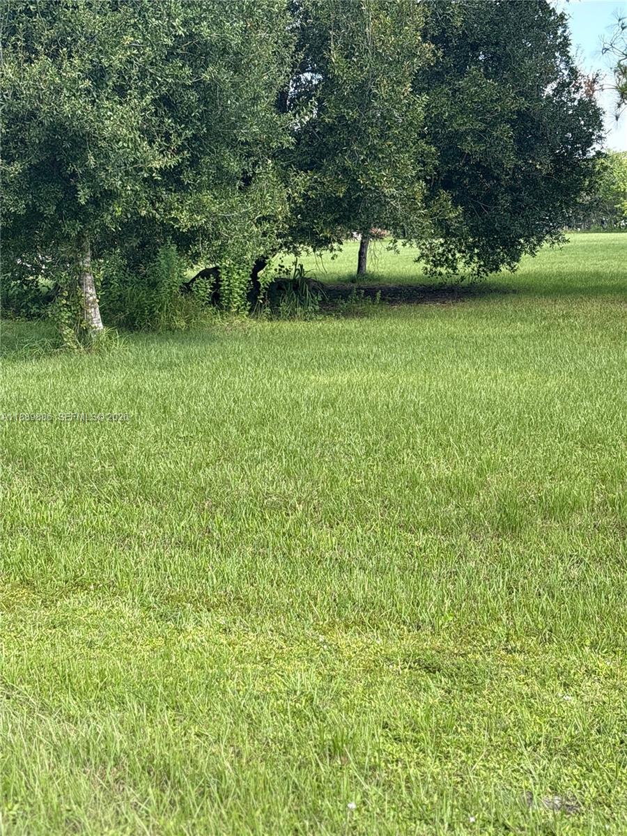357 Horse Club Property Photo 13