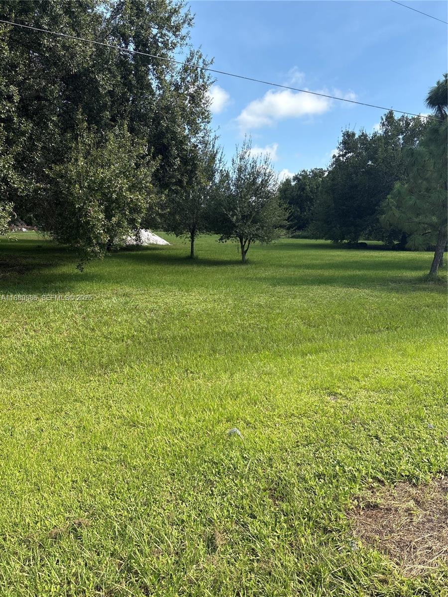 357 Horse Club Property Photo 14