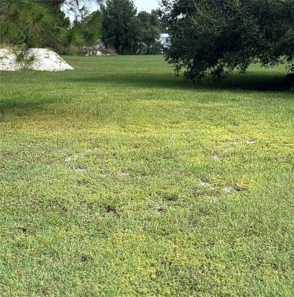 357 Horse Club Property Photo 16