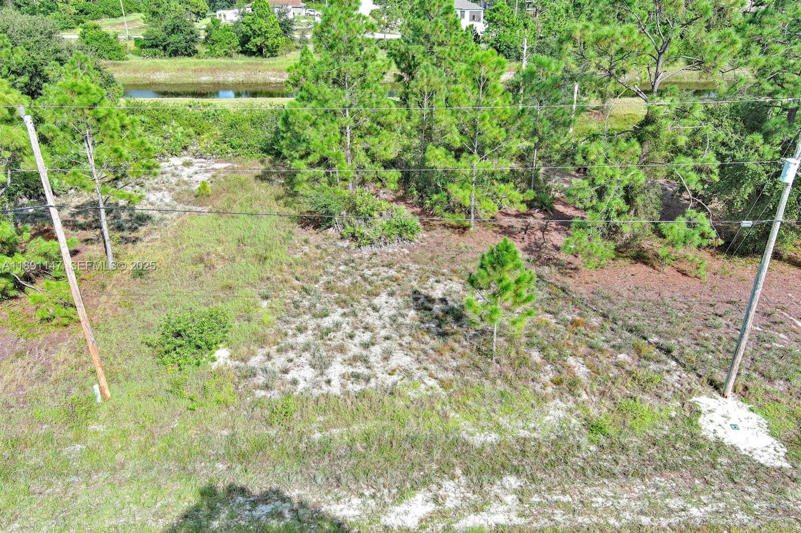 745 Troy Avenue Property Photo 8