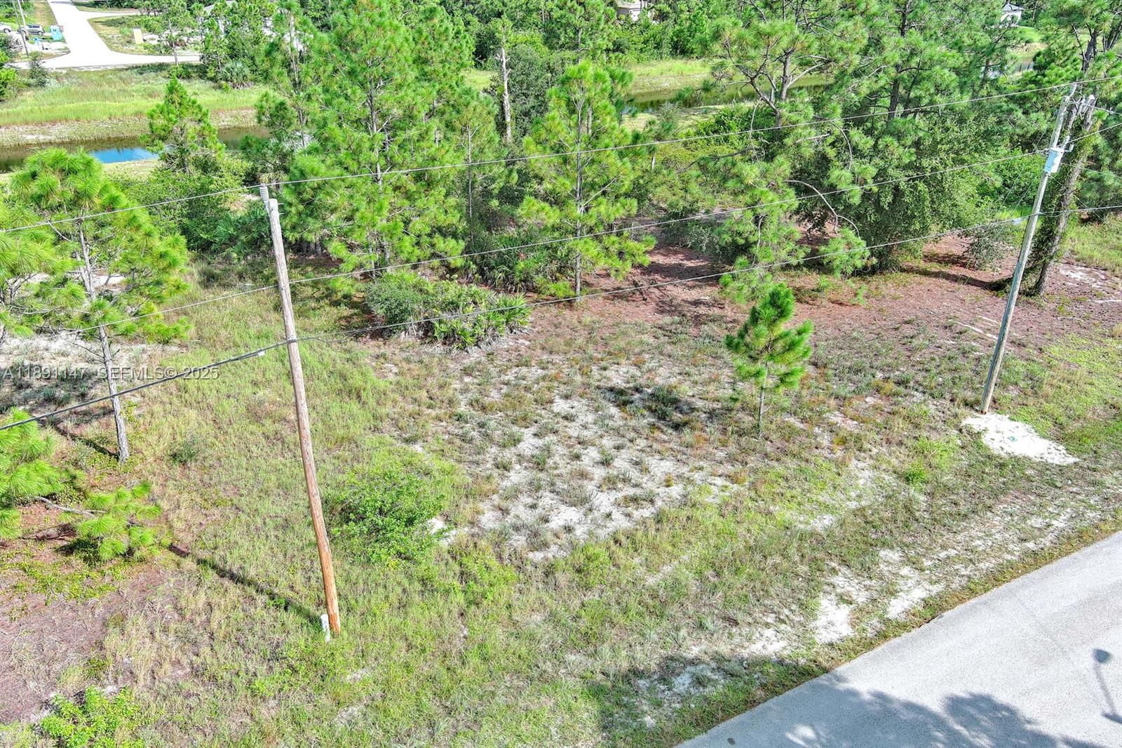 745 Troy Avenue Property Photo 9