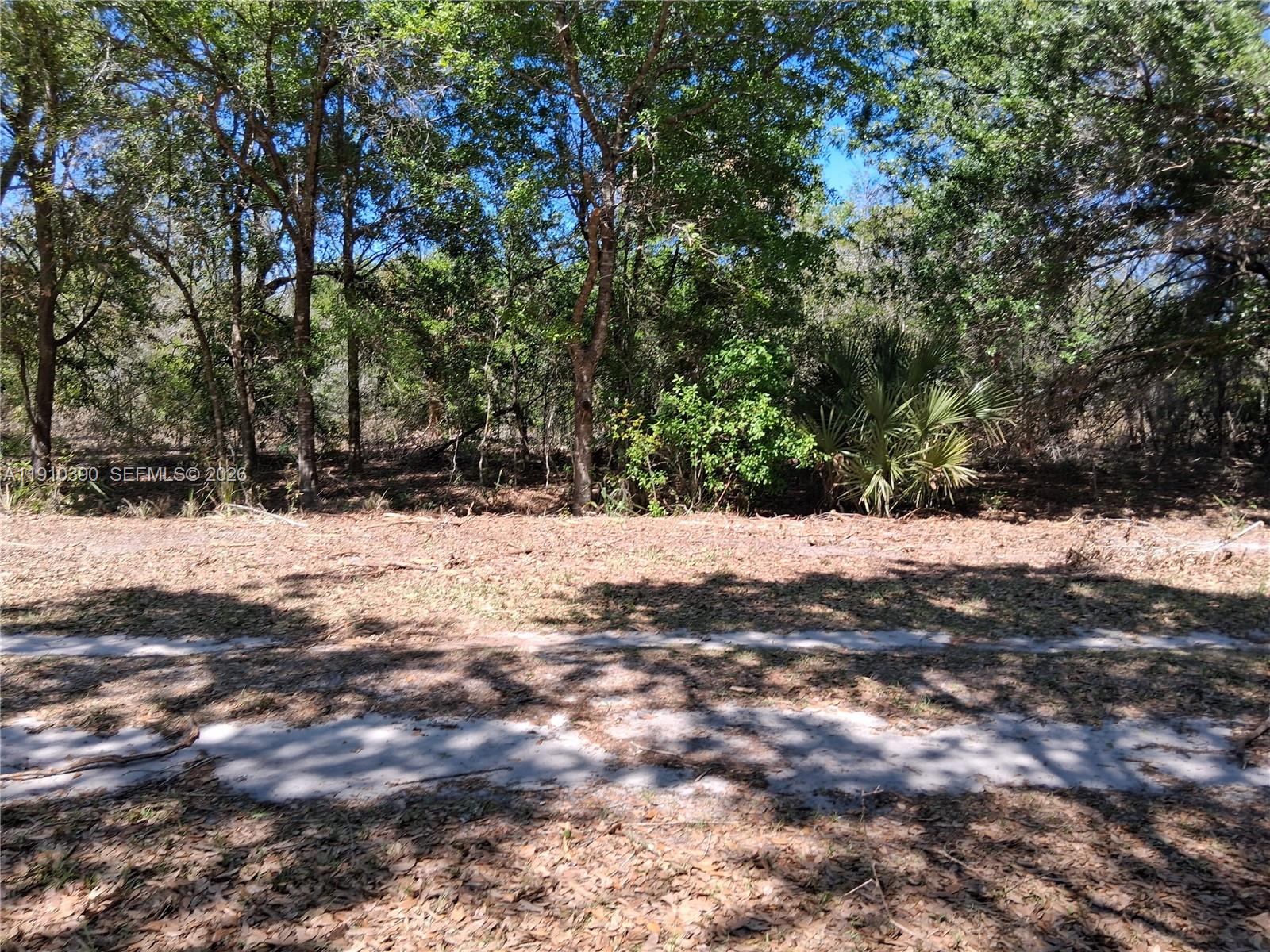 2822 W Yepremian Road Property Photo 1