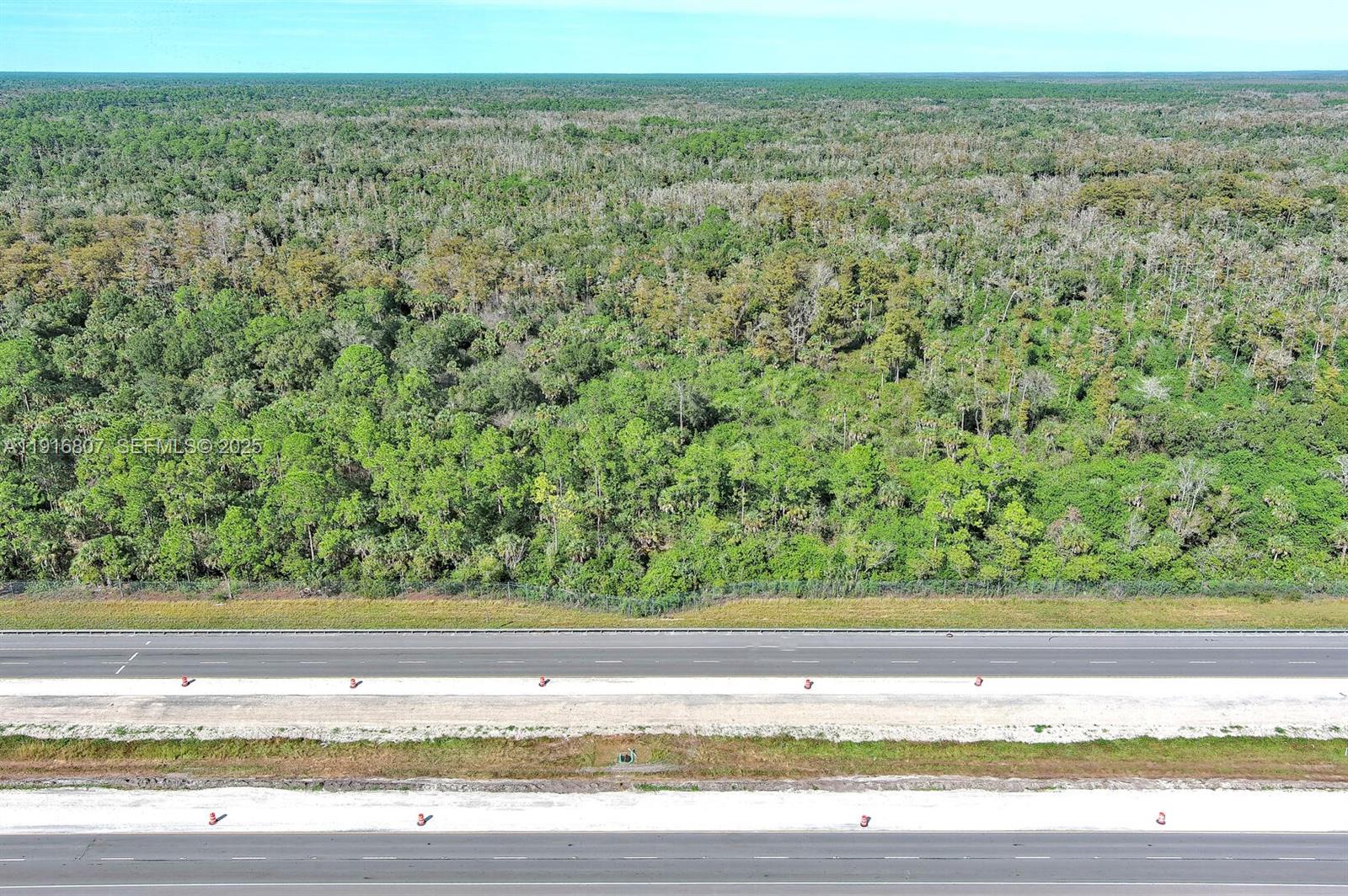 0 Alligator Alley Property Photo 1