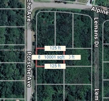 1000 Porche Property Photo 1