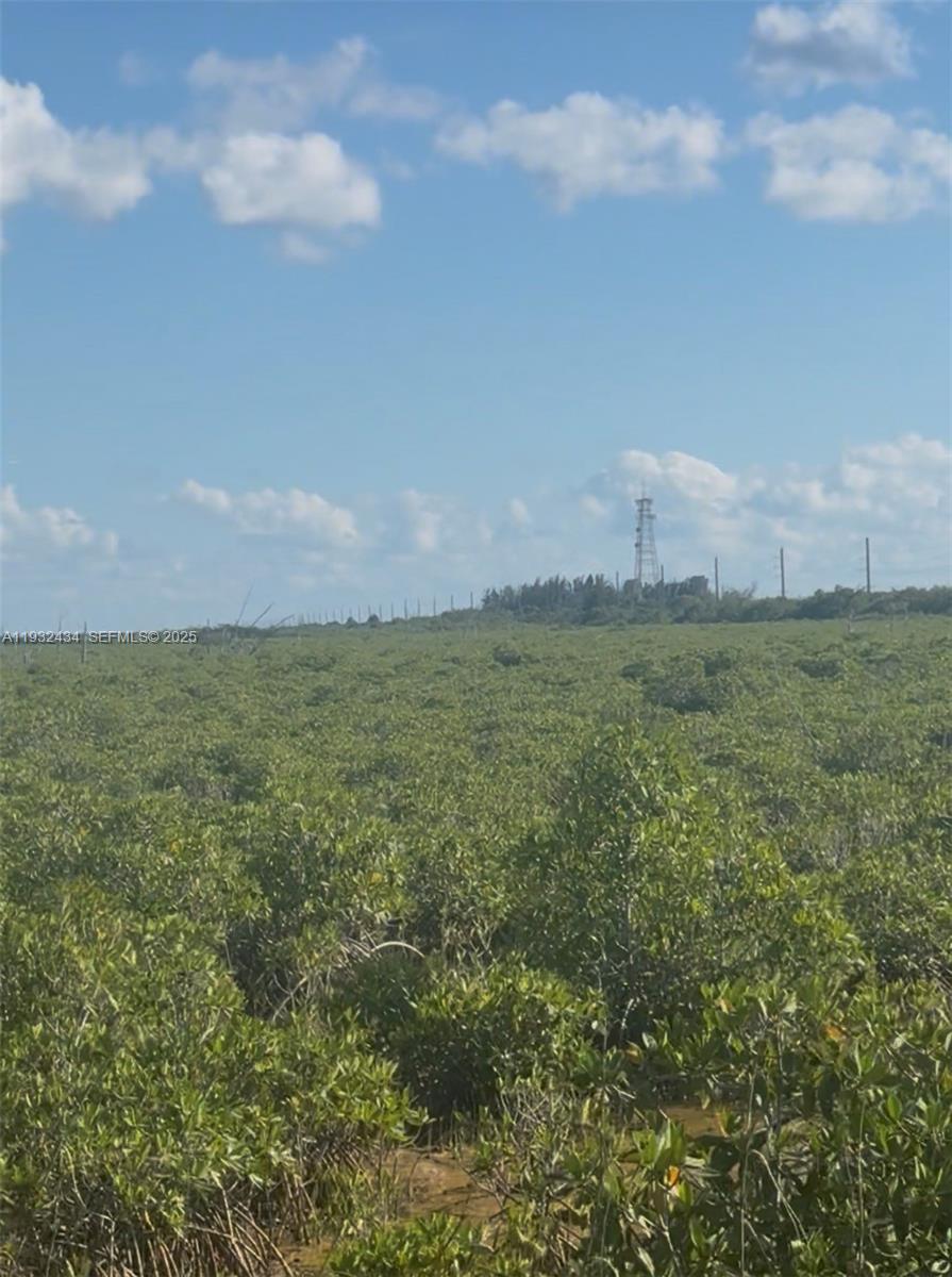 Unincorporated Property Photo 11