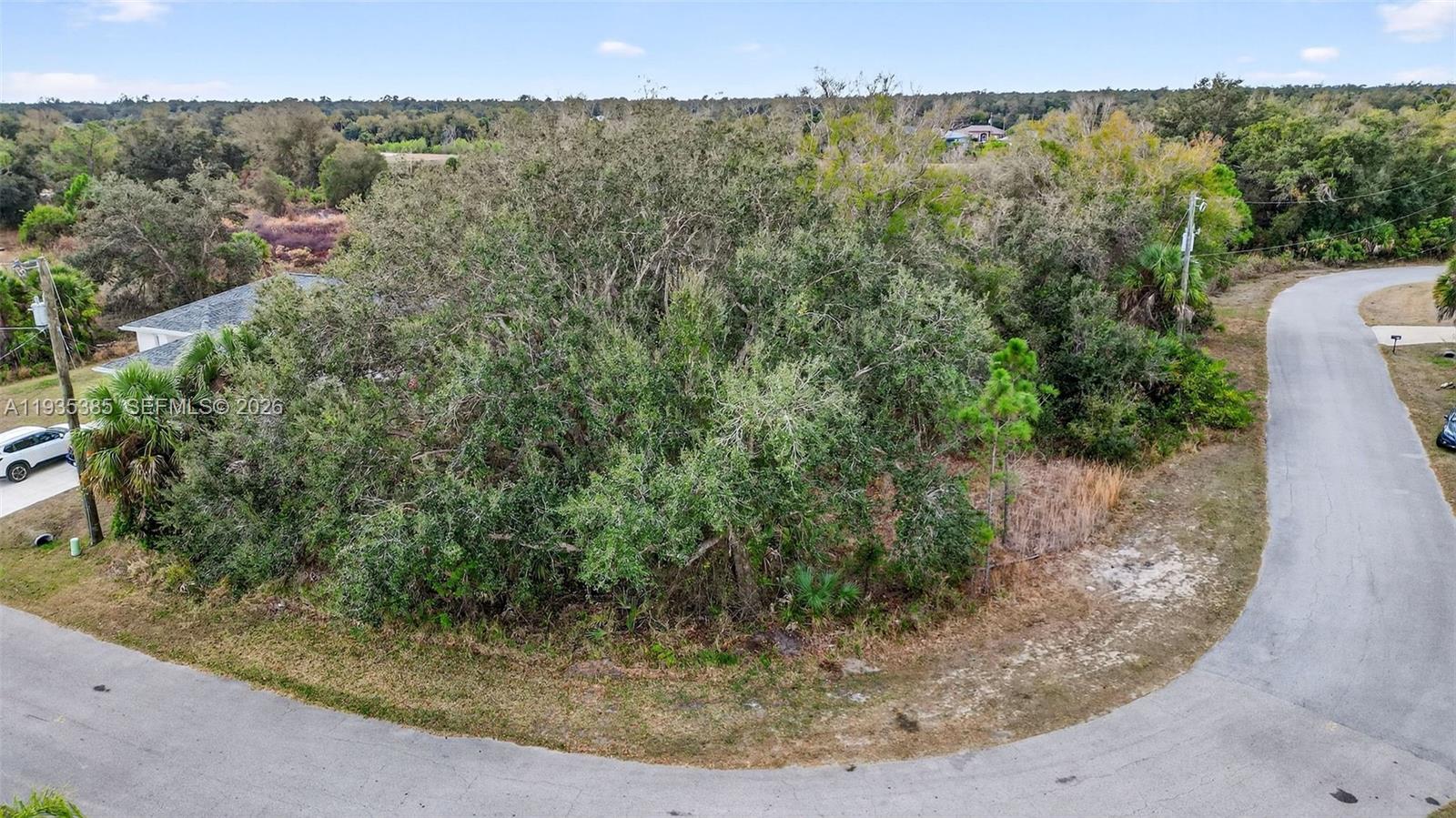 0 Nell Road Property Photo 5
