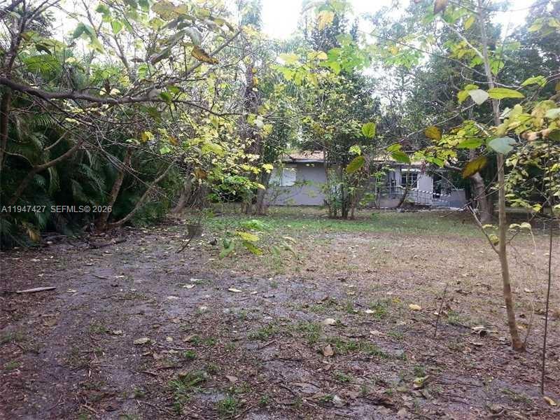 2447 Pierce Street 1 Property Photo 3