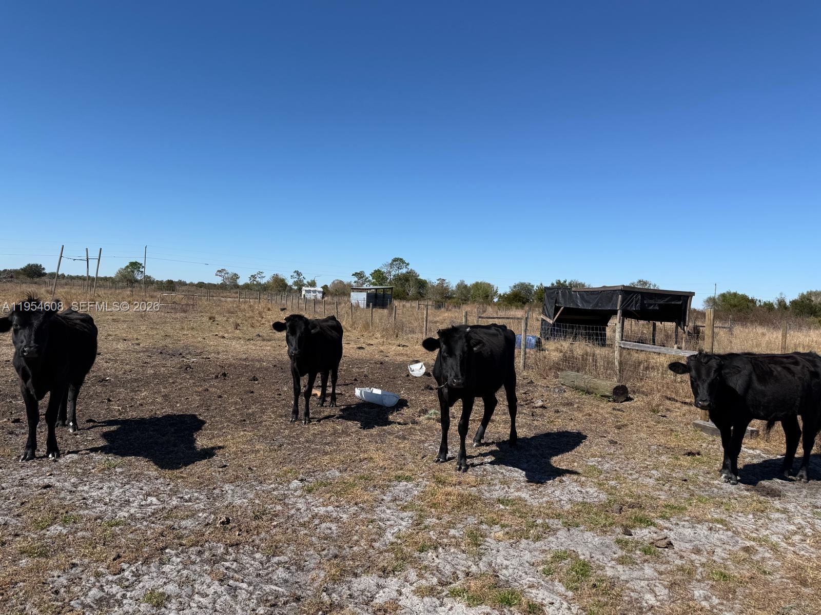 286 Lott Grade Property Photo 8
