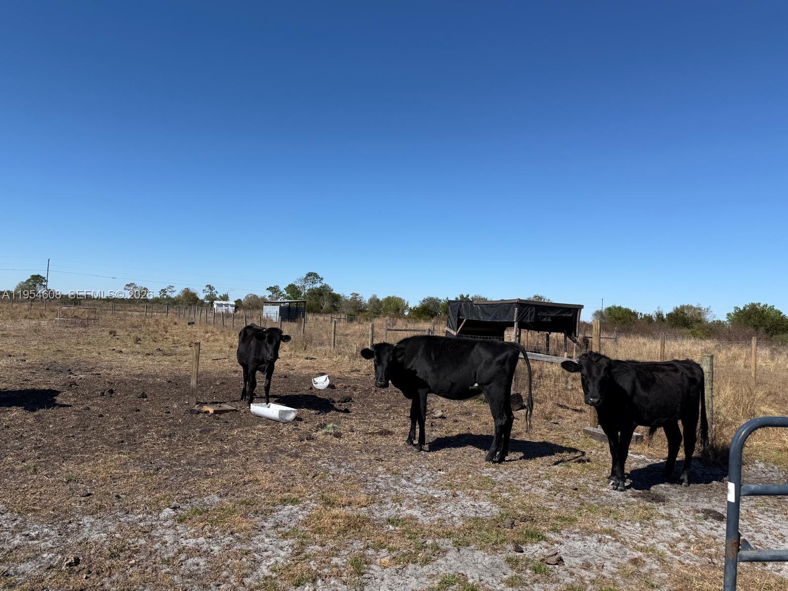 286 Lott Grade Property Photo 12