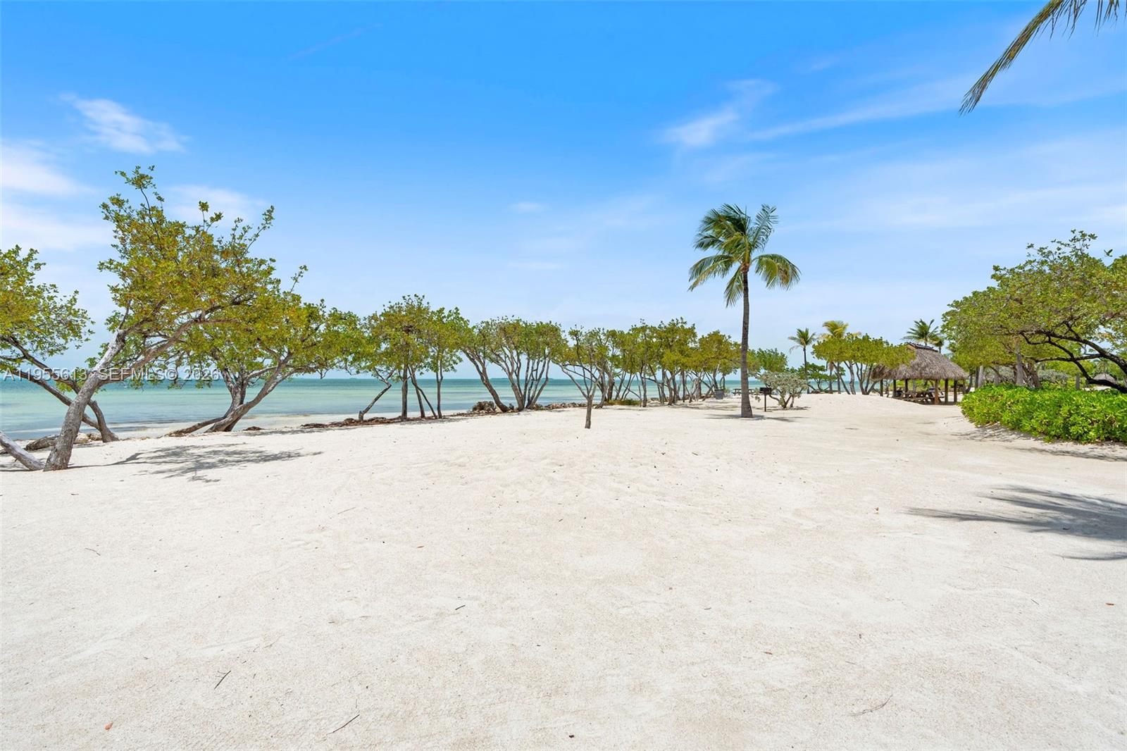 44 W Plaza Del Lago Property Photo 71