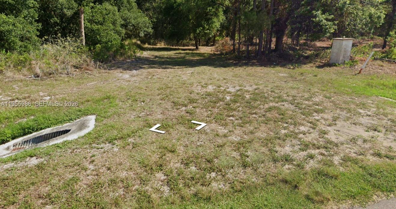 1716 Magnolia Street Property Photo 2