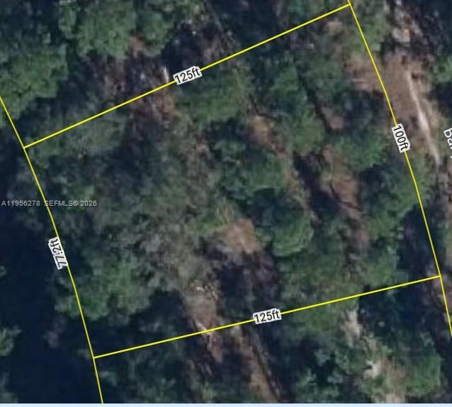 6203 Banyan Road Property Photo 5