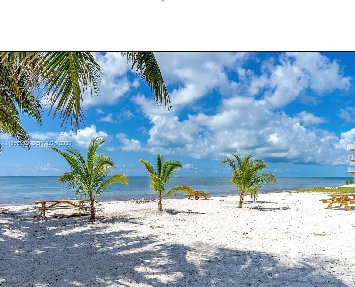 65821 Overseas Highway 407 Property Photo 4
