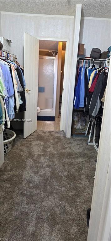 1627 Sunset Trail Property Photo 13