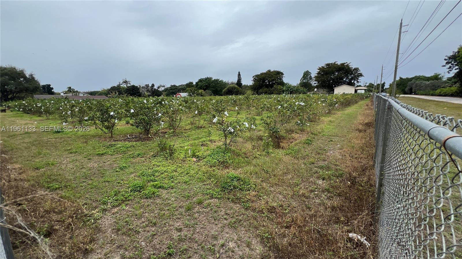 A11961133 Property Photo 12