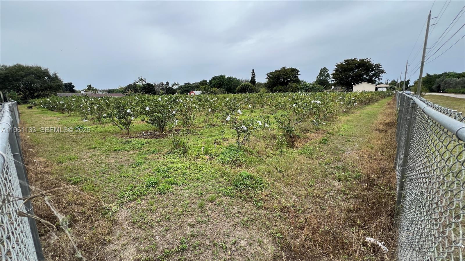 A11961133 Property Photo 13