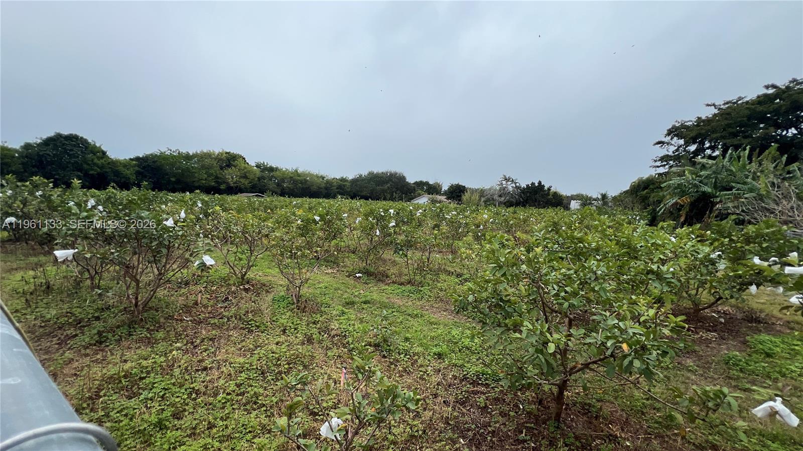 A11961133 Property Photo 17