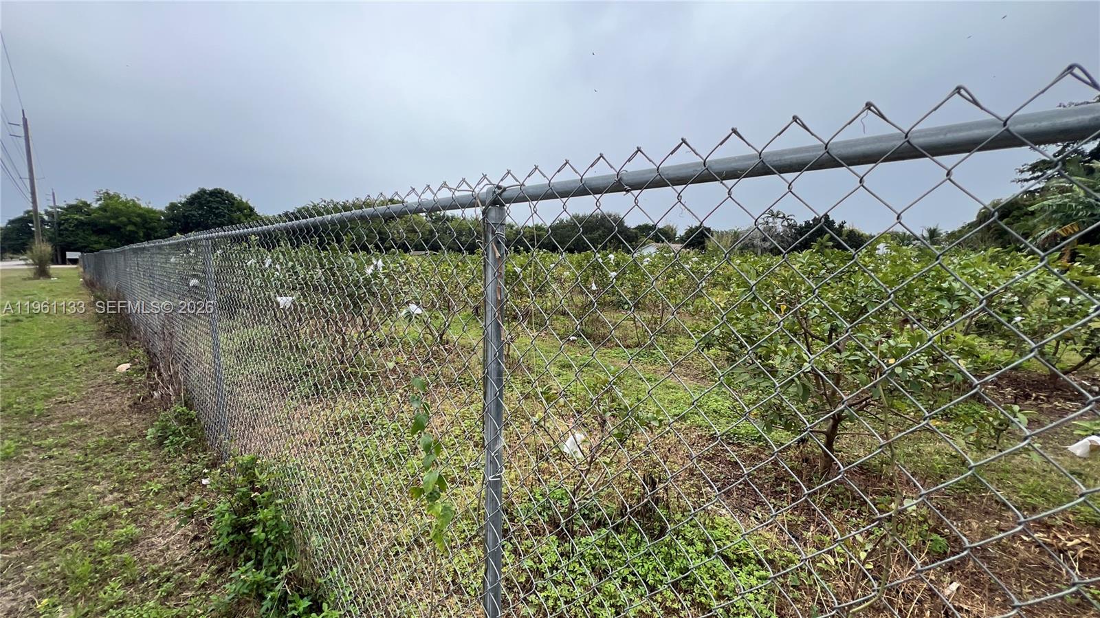 A11961133 Property Photo 18