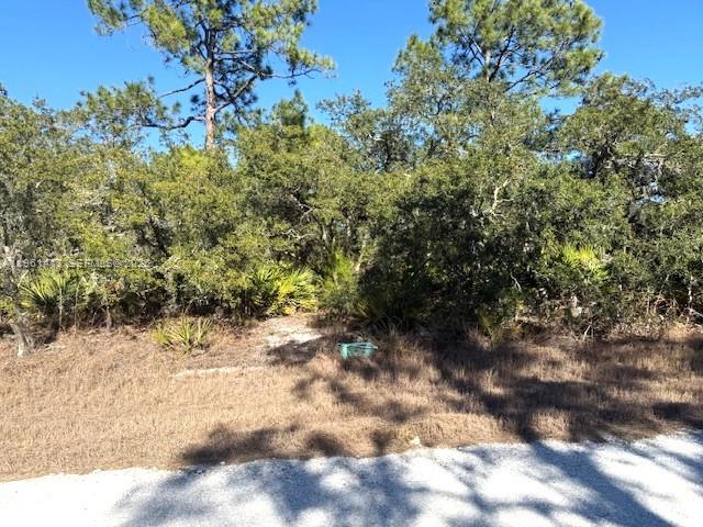 3221 N Dahlia Property Photo 1