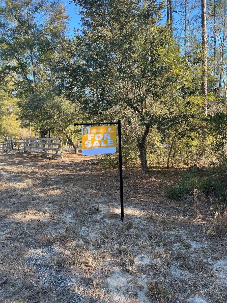 000 Dunnellon Property Photo 6