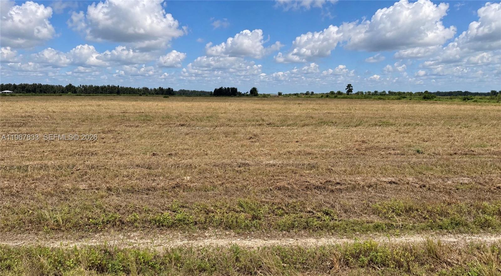 595 N Header Canal Road 0 Property Photo 6