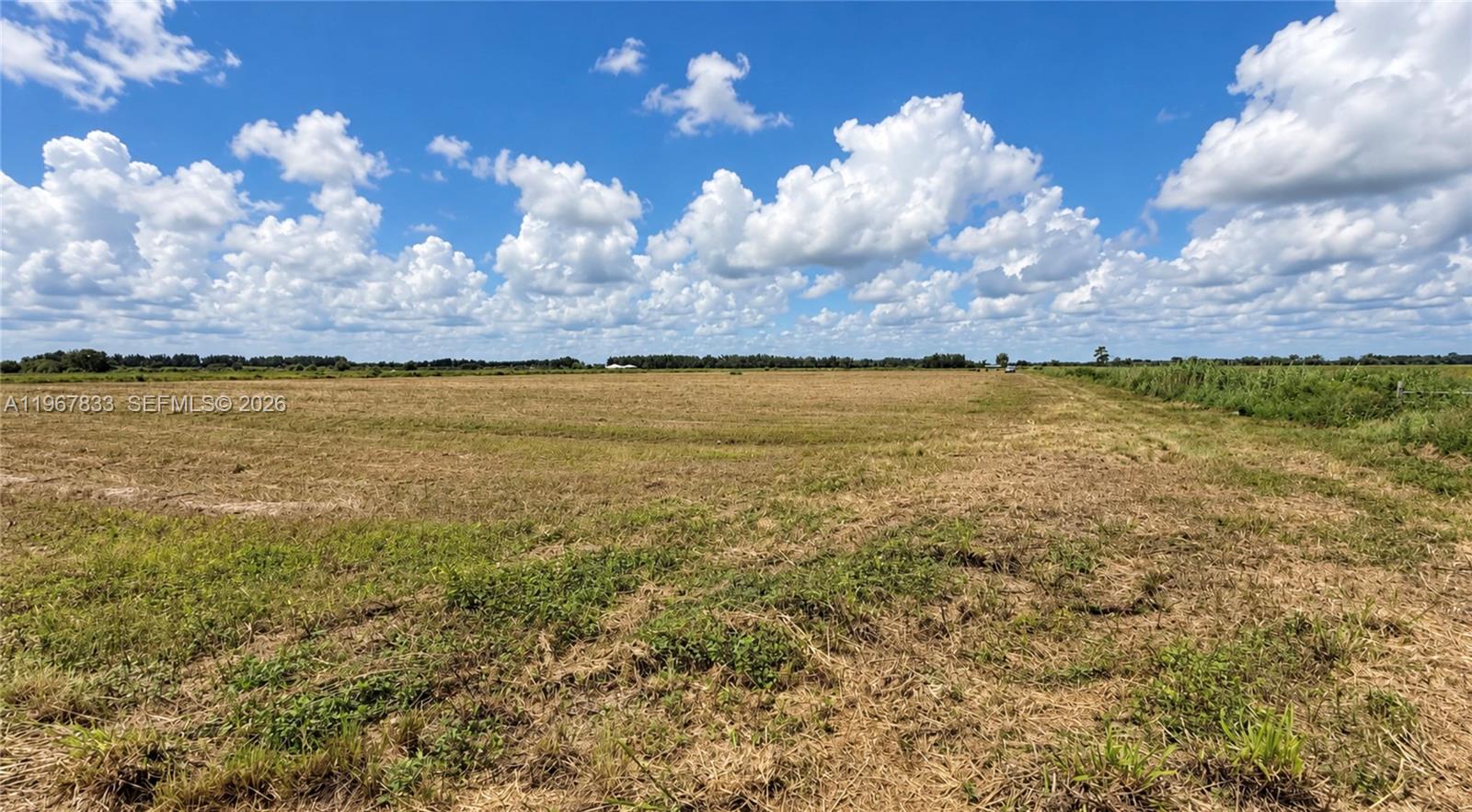 595 N Header Canal Road 0 Property Photo 8