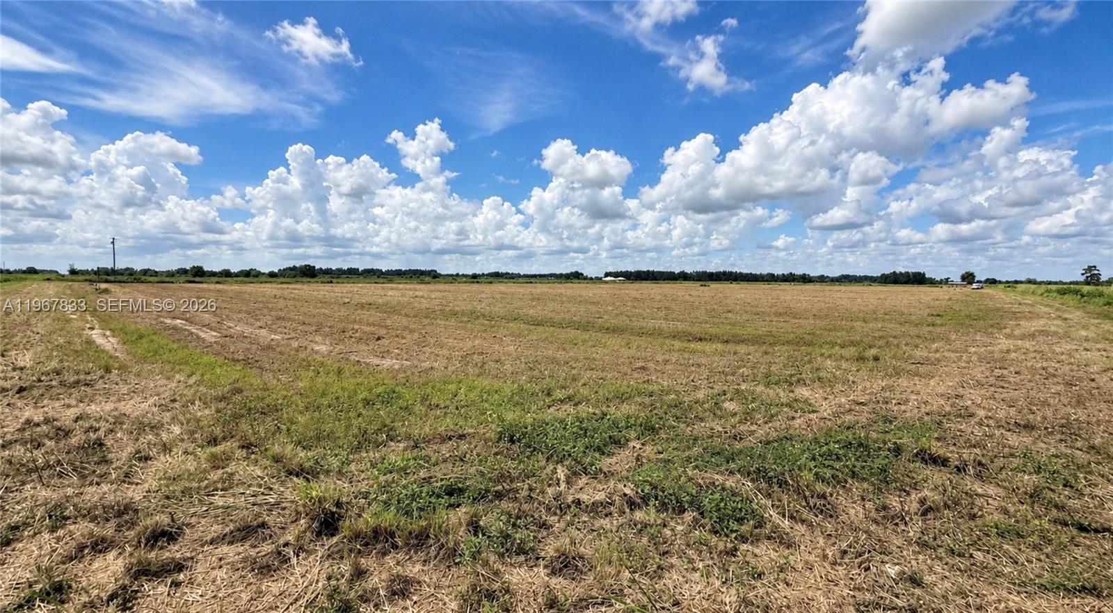 595 N Header Canal Road 0 Property Photo 16
