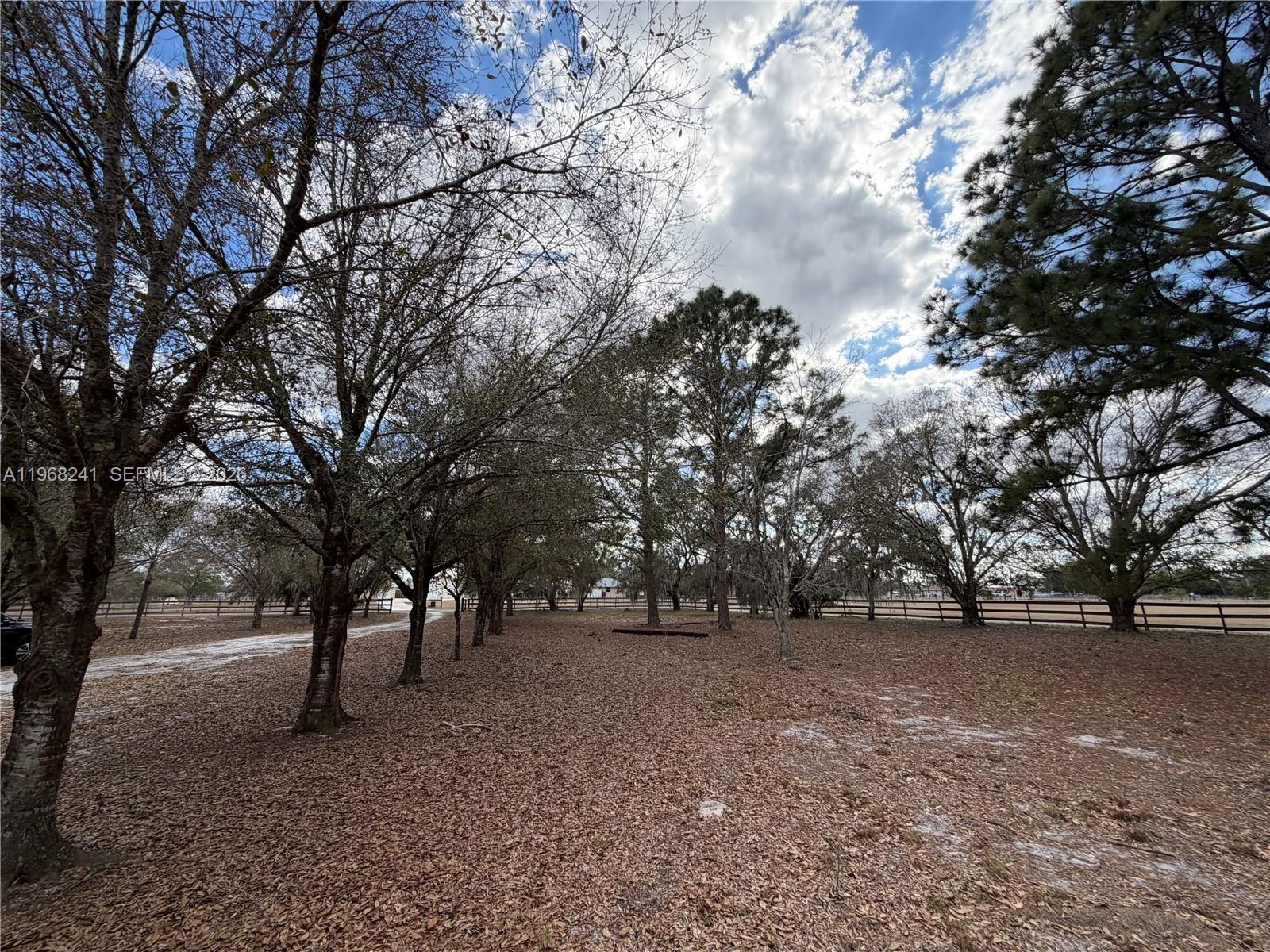 4120 Palomino Drive Property Photo 47