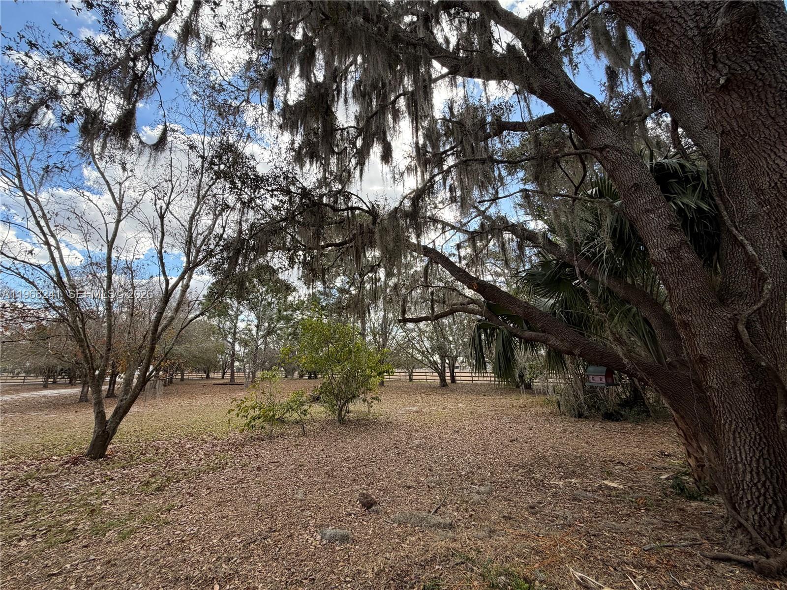 4120 Palomino Drive Property Photo 48