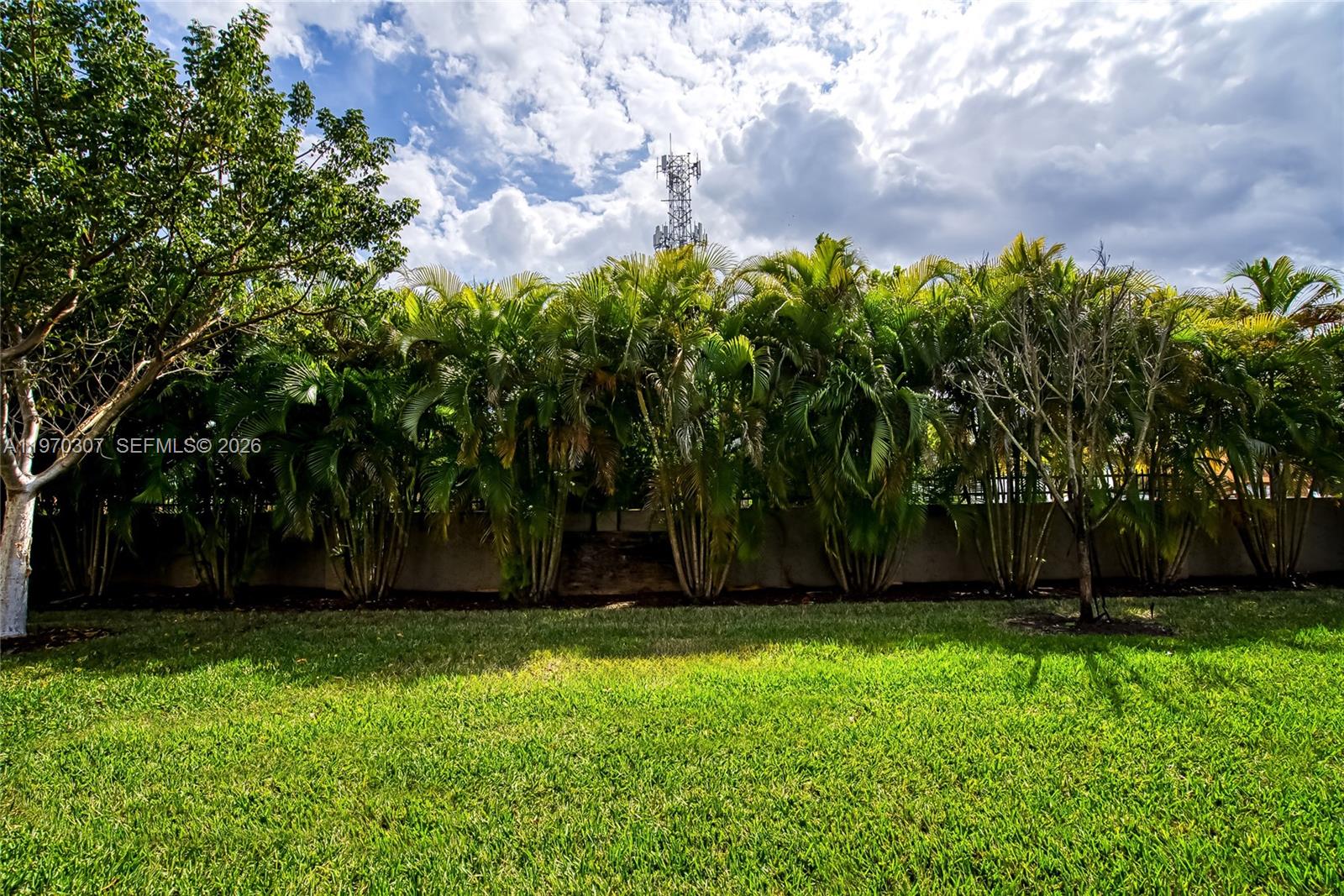 4566 Ficus Street Property Photo 46
