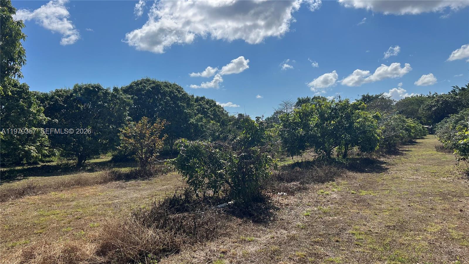 Sw Property Photo 4