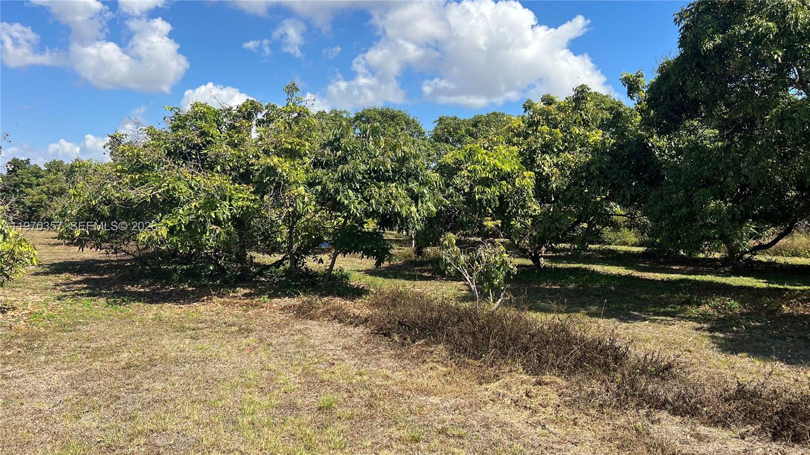 Sw Property Photo 5