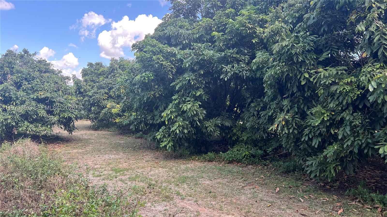 Sw Property Photo 6