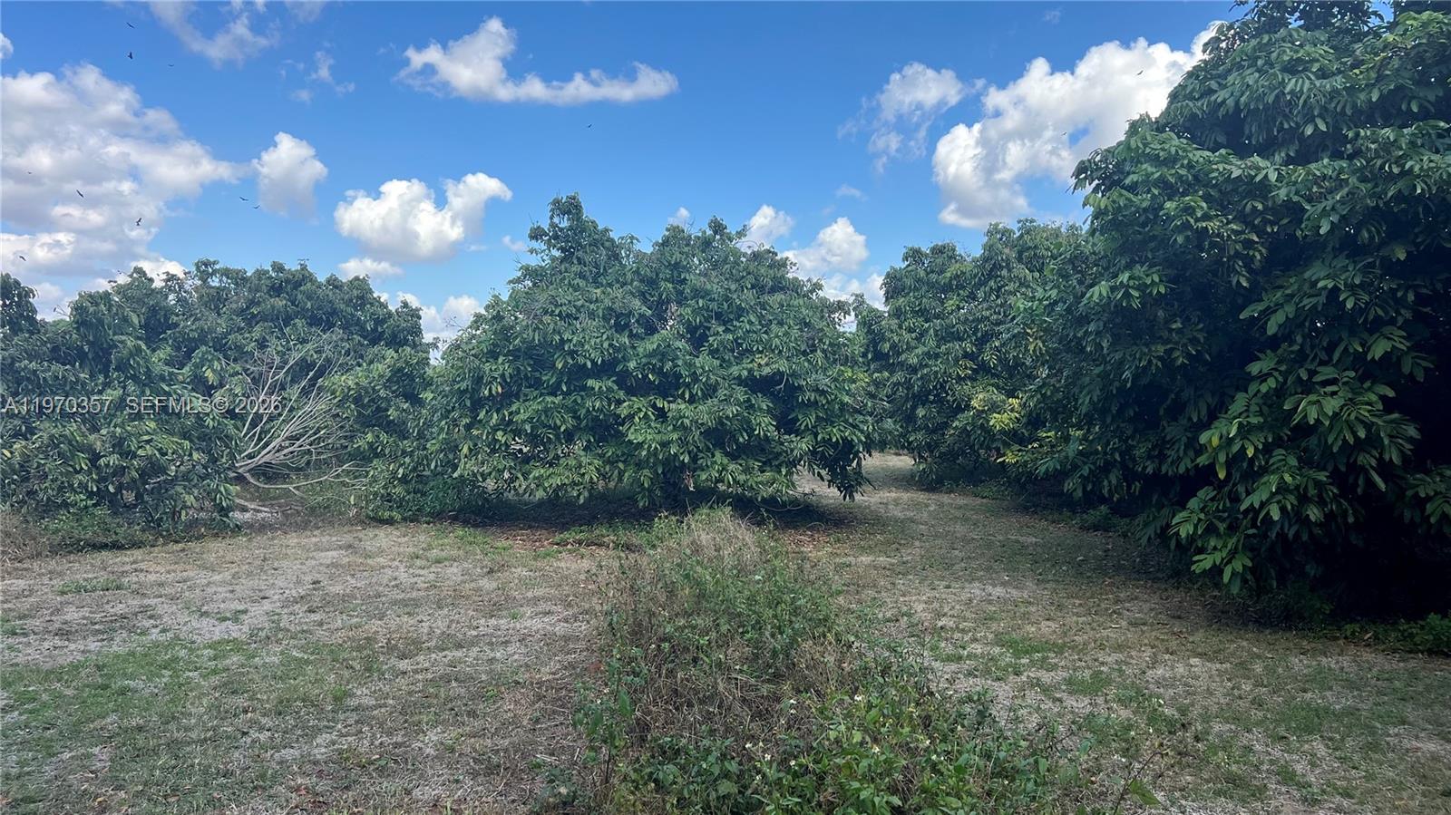 Sw Property Photo 7