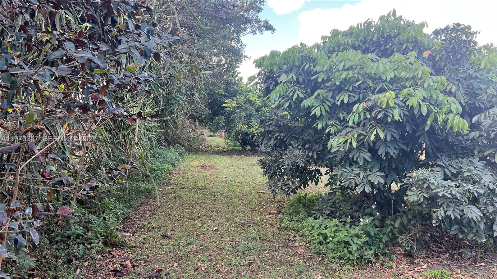 Sw Property Photo 8