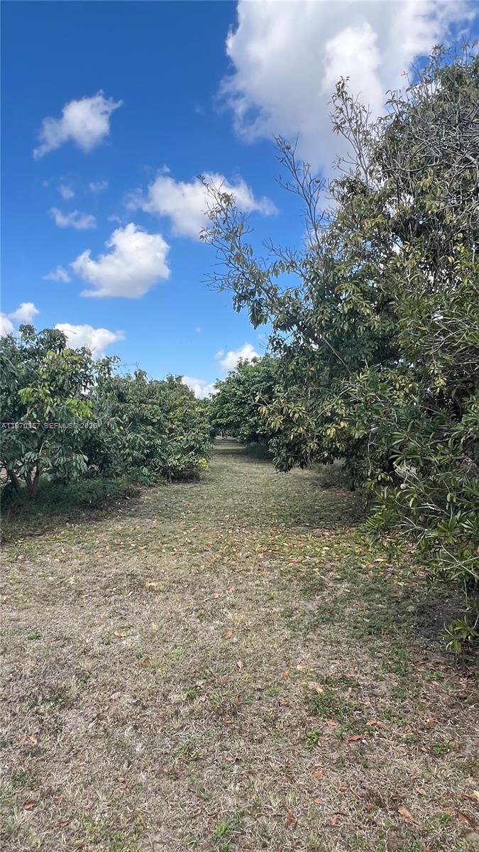 Sw Property Photo 13
