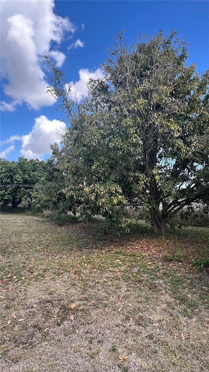 Sw Property Photo 14