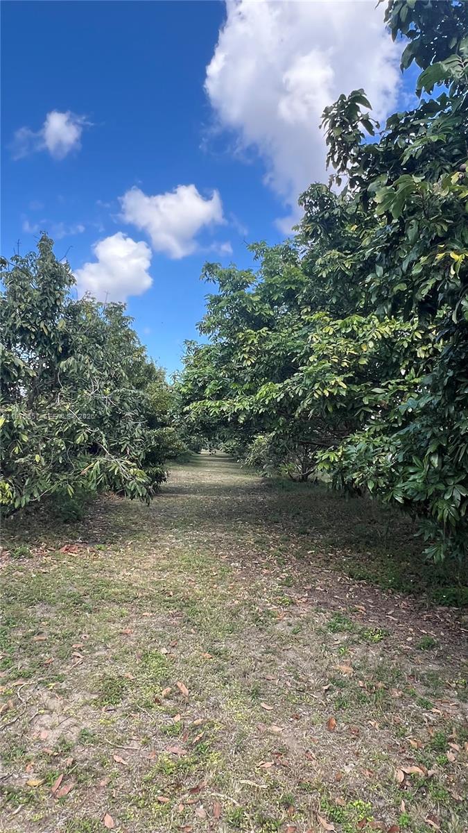 Sw Property Photo 15