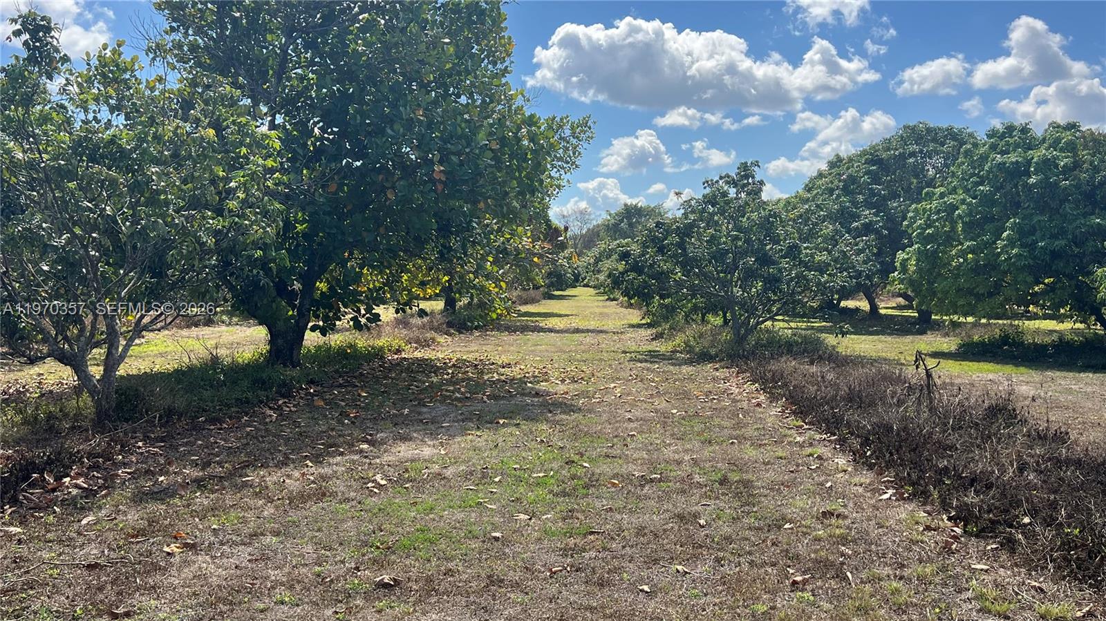 Sw Property Photo 25