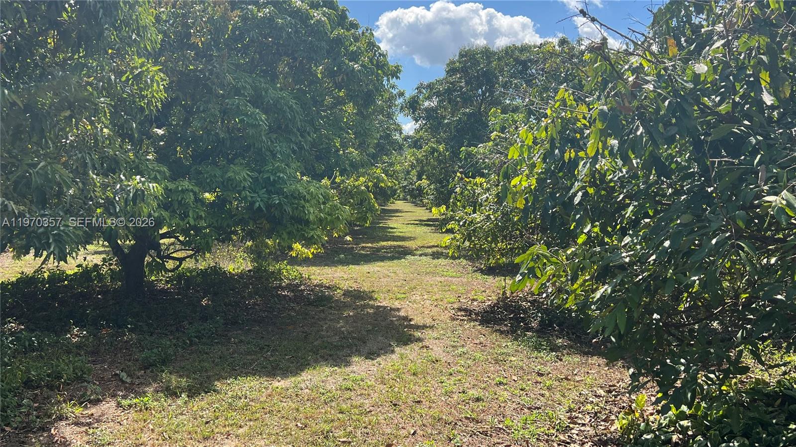 Sw Property Photo 26