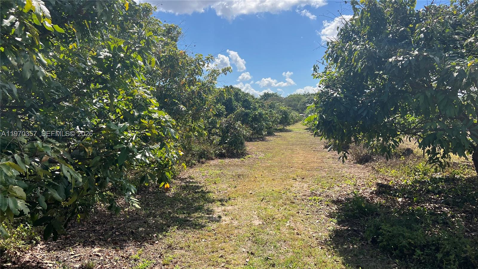 Sw Property Photo 27