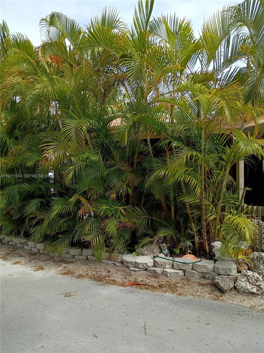 101551 Overseas Hwy Property Photo 66