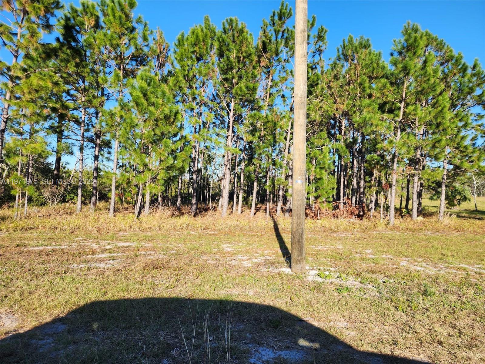 Beach Road Property Photo 2