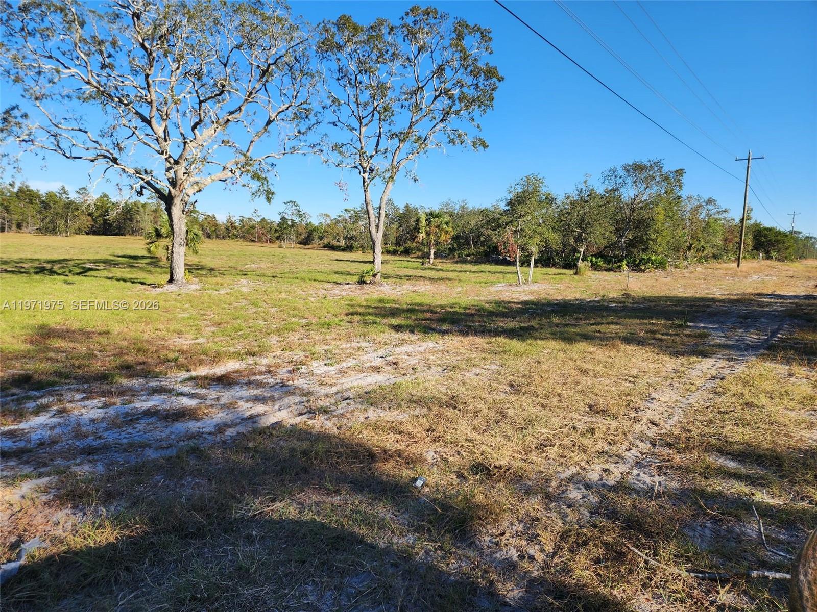 Beach Road Property Photo 3