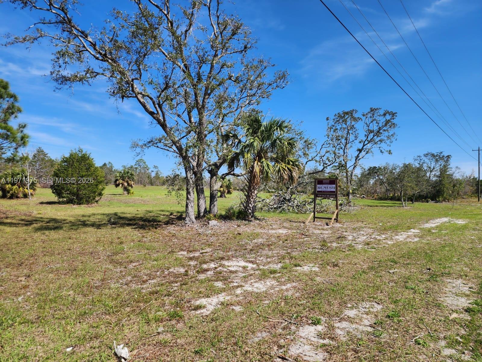 Beach Road Property Photo 5