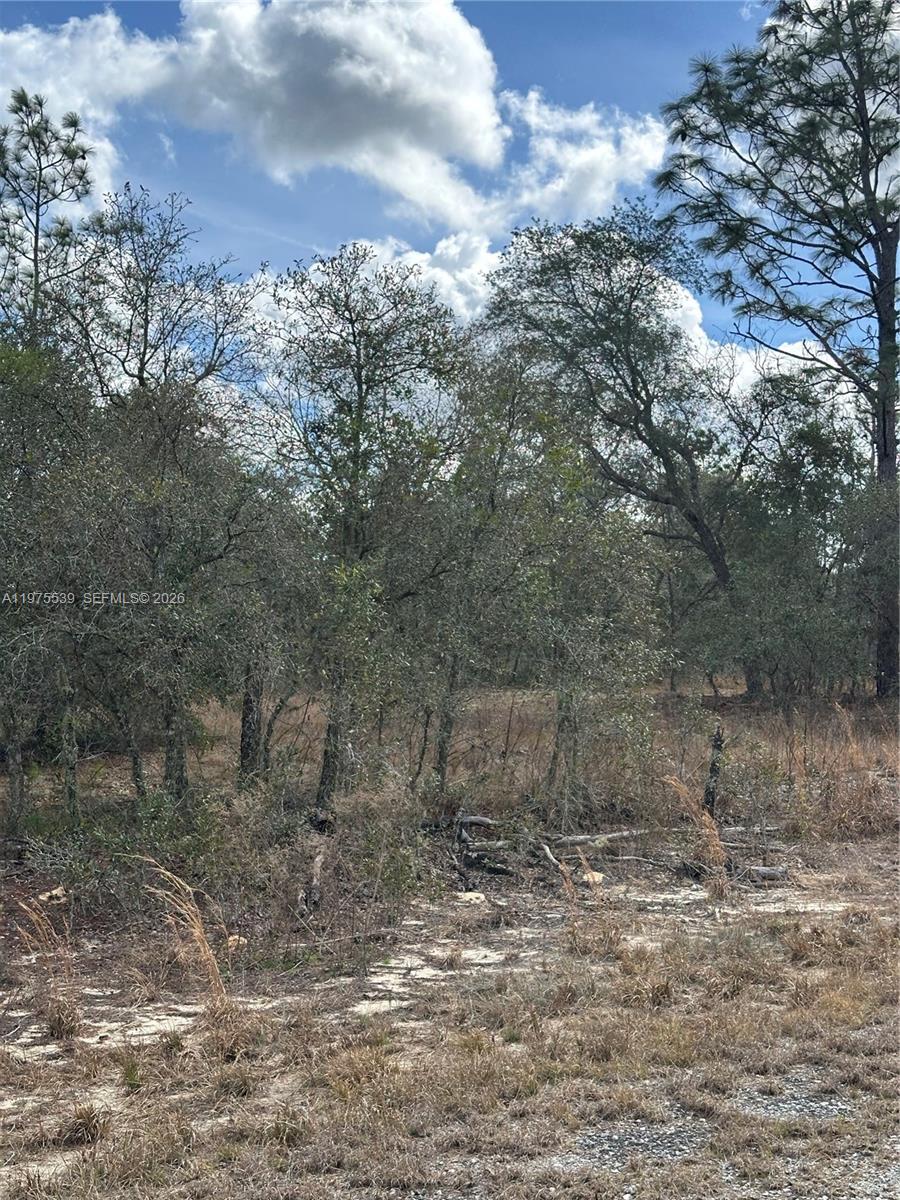 A11975539 Property Photo 6
