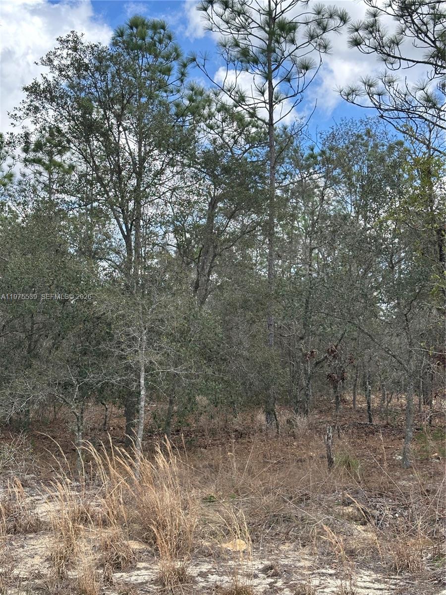 A11975539 Property Photo 7