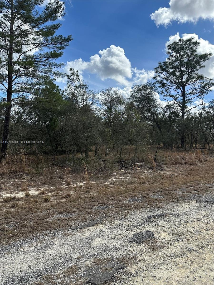 A11975539 Property Photo 8